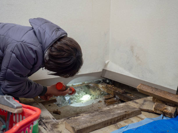 Best Crawl Space Mold Remediation  in Baltimore, OH