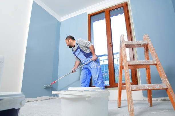Best Mold Odor Removal Services  in Baltimore, OH