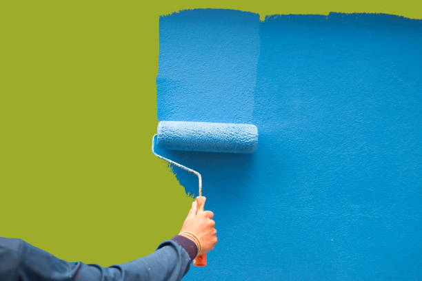 Best Mold-Related Health Consultation  in Baltimore, OH